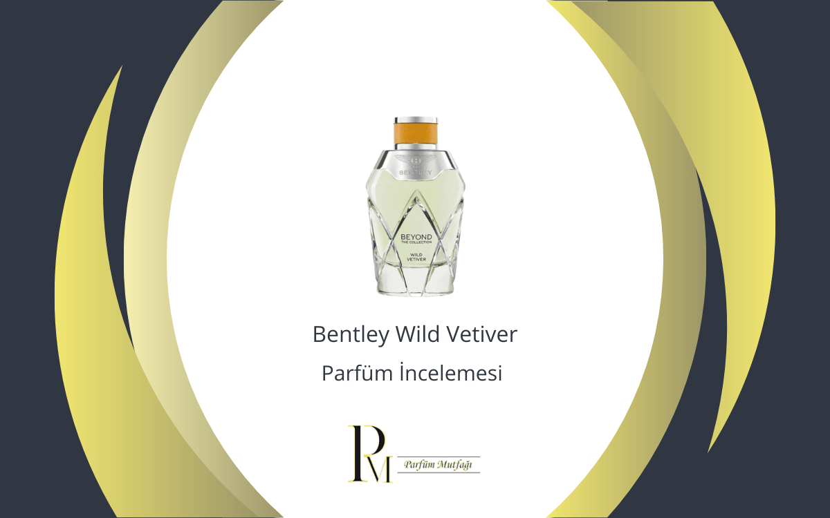 Bentley Wild Vetiver Parfüm İncelemesi